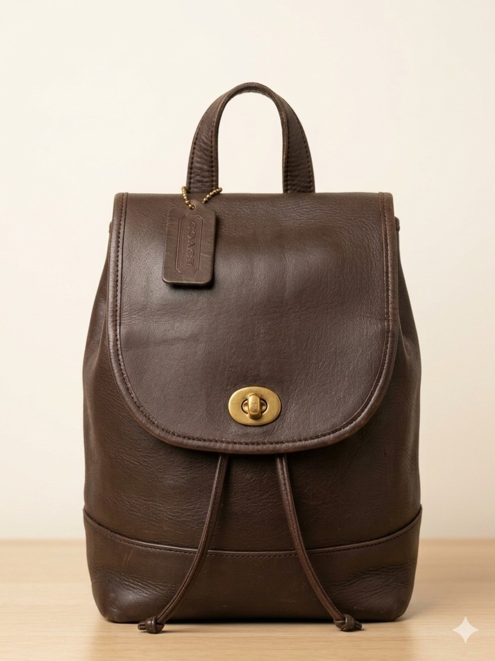 Vintage COACH Leather Mini Backpack Daypack 101-78 Dark Brown